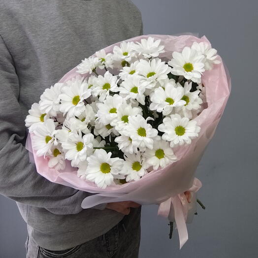 Ромашки | Букет из 5 кустовых ромашковых хризантем Кеннеди