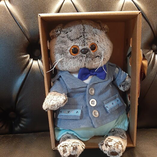 Котик Басик