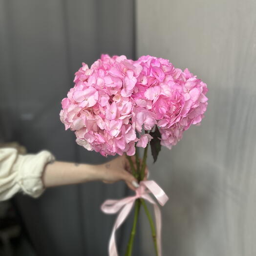 💕Три розовые гортензии