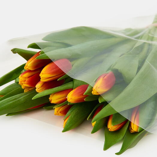 Пачка тюльпанов (15 штук) Красно-желтый, 38 см
