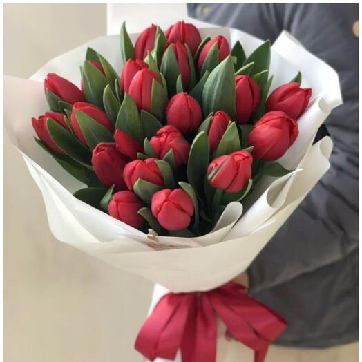15 красные тюльпаны
