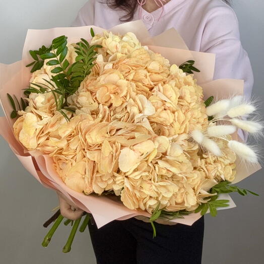 Апельсиновые 🧡гортензии