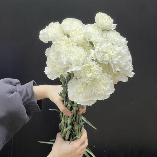 Пачка гвоздики белые (25 шт) высота 40 см