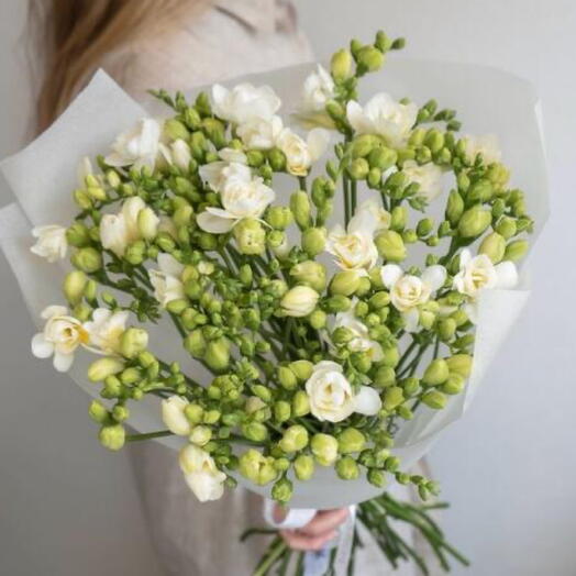 Букет Белая Фрезия 35 шт
