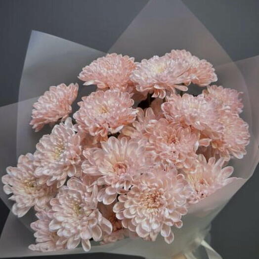 Моно букет из персиковых хризантем 🌼