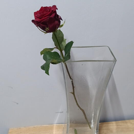 Роза Наоми рэд 60