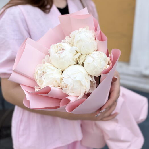 Белые пионы х5 PEONY47