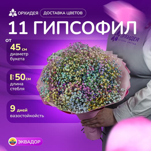 11 гипсофил радужных