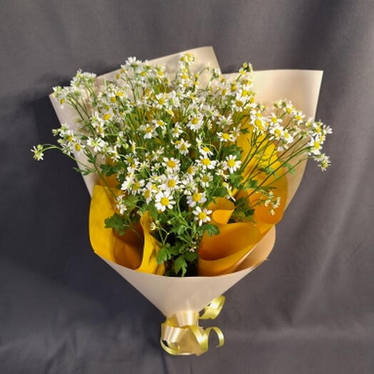 Букет из 5 🌸ти танацетумов