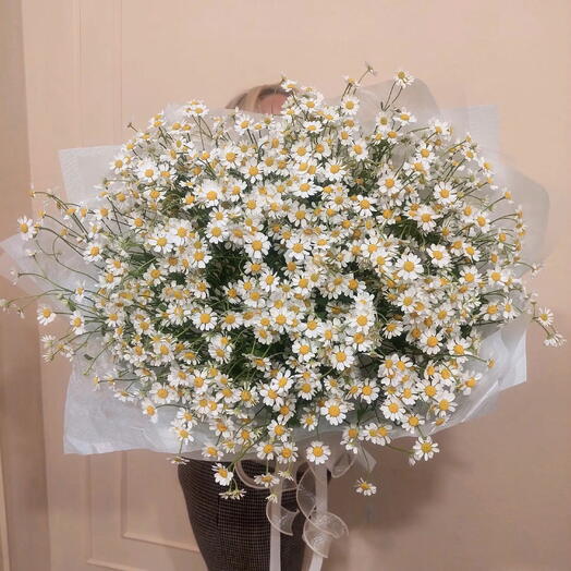 Ромашки