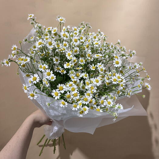 Ромашка 11ш💛
