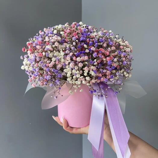Облако гипсофилы