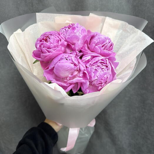 ПИОНЫ💘любимые