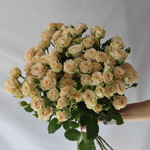 Кустовые розы 19 шт