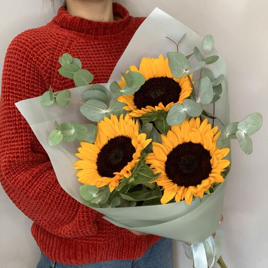 🌻 подсолнухи