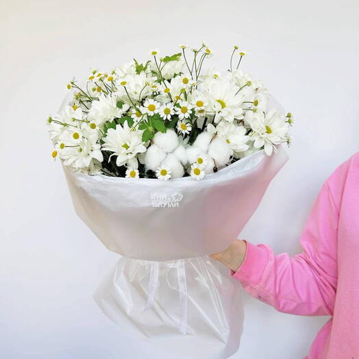 Ромашковое поле 🍃💐