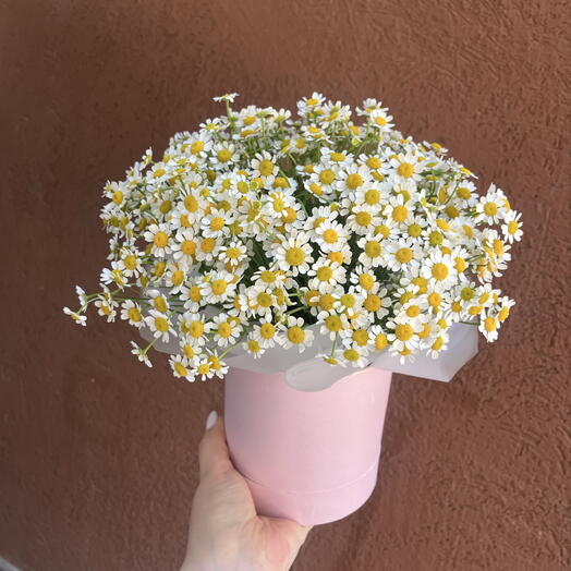 Ромашки в коробке