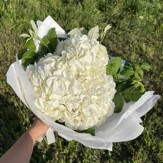 Белые гортензии с малиной 3 шт