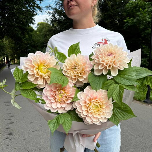 Георгины