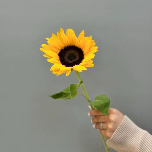🌻Яркий Подсолнух (от 1шт) 008