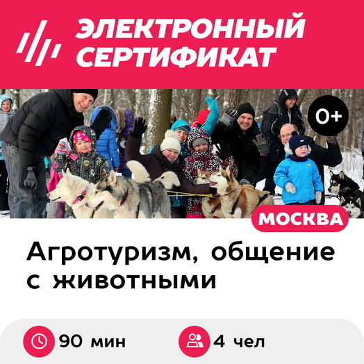 Подарочный сертификат Экскурсия к северным оленям и собакам, 2 взрослых + 2 детей в будний день