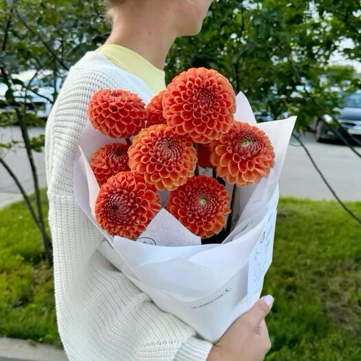 Фермерские георгины