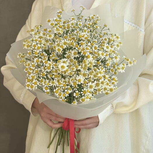 Монобукет из 15 кустовых ромашек