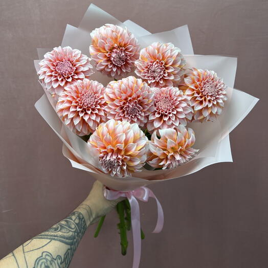Абрикоровые Георгины Peaches and Cream 9 шт