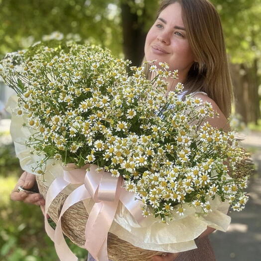Корзина ромашек