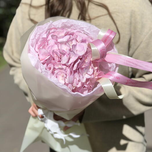 Комплимент Гортензия с бантиком 🎀