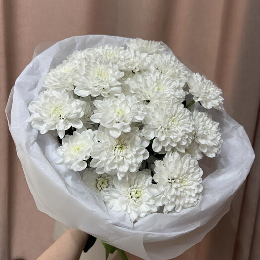 5 кустовых хризантем Алтай под ленту в нежной упаковки 🌷