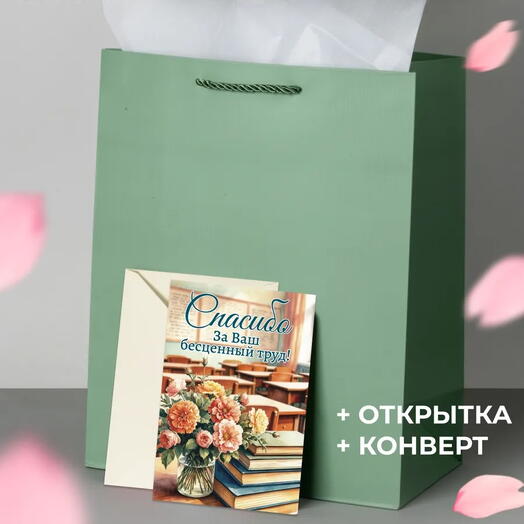 Подарочный пакет с открыткой "Спасибо за Ваш труд!", 1шт