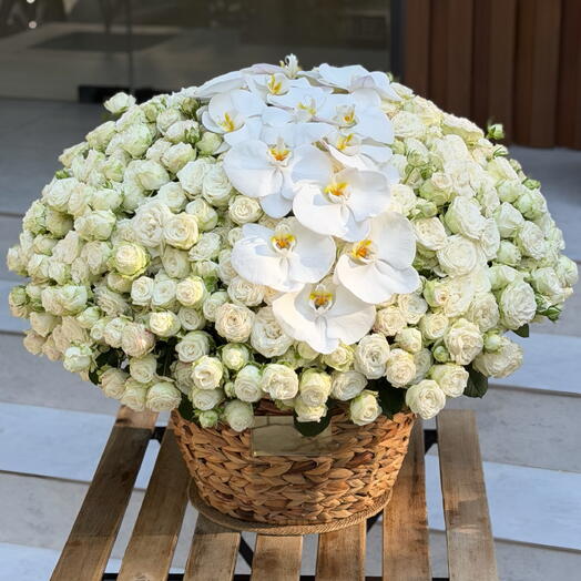 Luxury white peonies rose