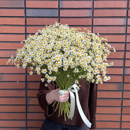 Букет большой из ромашек
