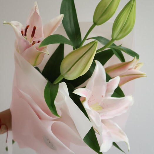 Lily