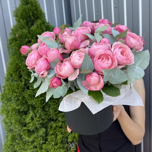 Сильва 🌹