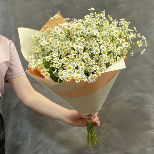 Bouquet of field daisies