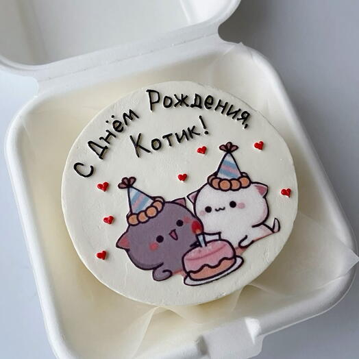 Бенто - торт «С днем рождения, котик»