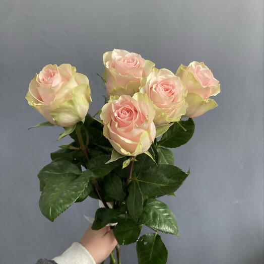 Букет из 5 нежных роз