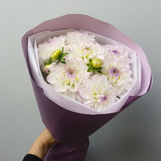 Дахлия (георгины) 7 шт