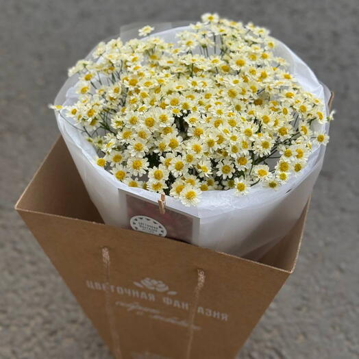 Монобукет из ромашек