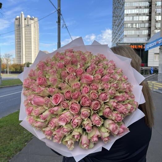 101 нежно-розовая Роза