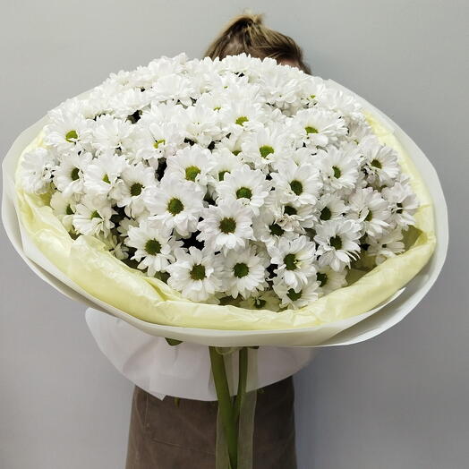 Моно хризантем🌼
