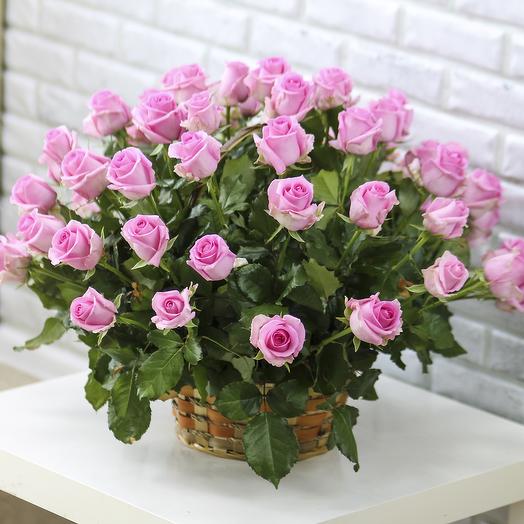 Basket of 51 roses "Pink roses Revivalist"