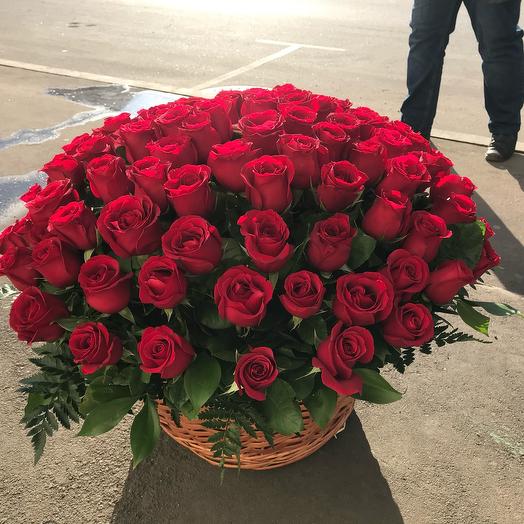Rosas Ecuador 101