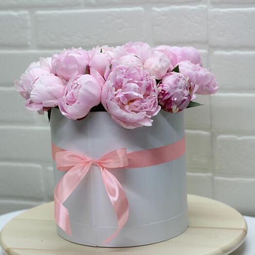 19 delicate peonies in a box