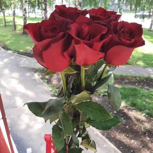 5 красных роз на ленте