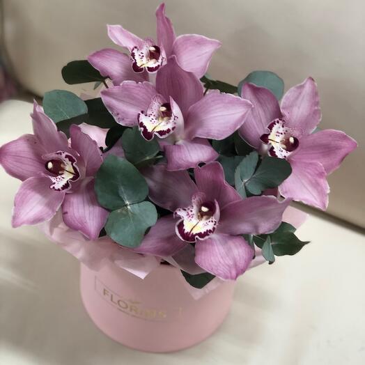Орхидеи в коробке 🌸для Мамы