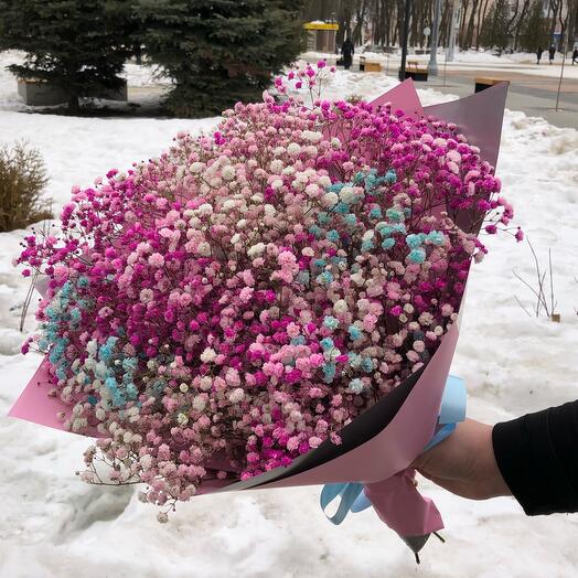 Радужная гипсофила
