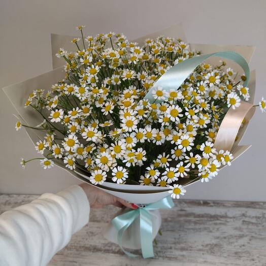 Bouquet of daisies